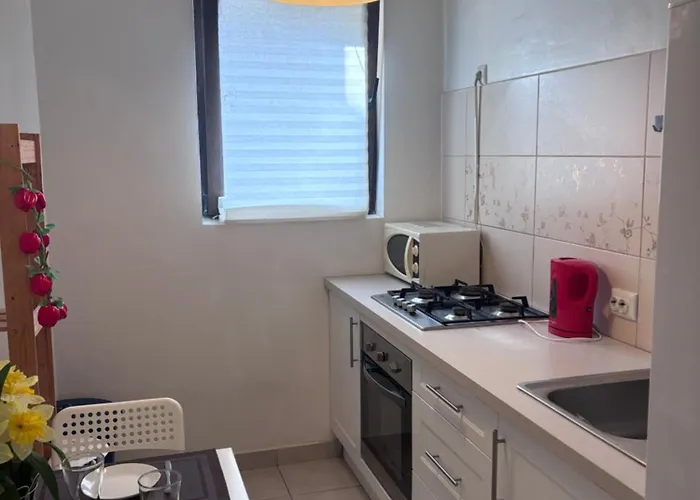 Apartment Sunny Downtown 2bdr